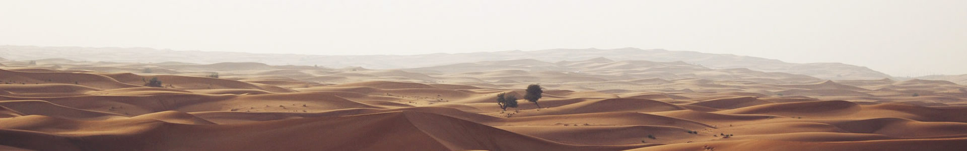 ϿƼ޹˾֣ѧ